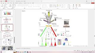 라이브 랩미팅 79 Flow cytometry amp FACS gating strategy [upl. by Jueta]