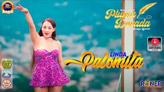 PLUMA DORADALINDA PALOMITAPRIMICIA 2024 [upl. by Askwith]