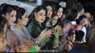 zamawand kurdi زماوندی کوردی عروسی کردی Kurdish wedding [upl. by Marilla]