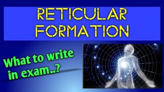 RETICULAR FORMATION  An Overview [upl. by Kcirdet]