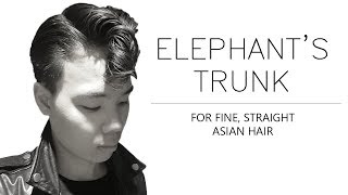 Elephants TrunkJelly Roll Hair Tutorial for Fine Straight Asian Hair  Rockabilly Hairstyle [upl. by Kariotta827]