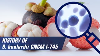 History of Saccharomyces boulardii CNCM I745 [upl. by Reiner153]