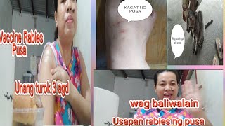 RABIES CAT BITE SYMPTOMS wag baliwalain need vaccine rabies rabiesvaccine rabieslyssasyndrom [upl. by Yelsnia315]