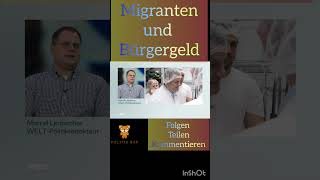 Migranten und Bürgergeld afd politik [upl. by Leipzig153]