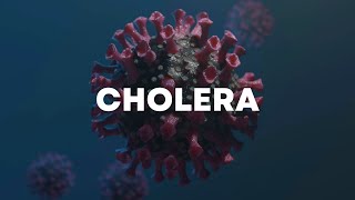 Cholera Causes Symptoms Treatment and Prevention Explained [upl. by Retsub923]