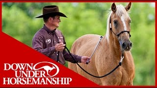 Clinton Anderson Training a Rescue Horse Part 3  Downunder Horsemanship [upl. by Leuas]