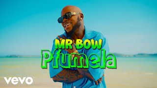 Mr Bow  Pfumela Official Music Video [upl. by Ecirbaf]