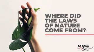 Where did the laws of nature come from [upl. by Lopez]