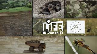 Le projet LIFE IN QUARRIES [upl. by Winshell]