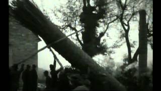 La Festa di SantAntonio in Abruzzo [upl. by Sell]