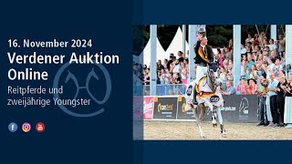 Verden Auction Online  November 16th  Free jumping test of selected Auction Horses [upl. by Nah172]