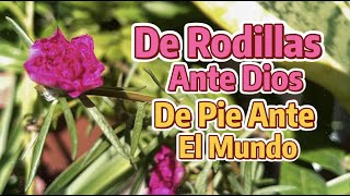 De rodillas ante Dios y de pie ante el mundo Sigue adelante [upl. by Beckie]