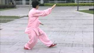 Taijiquan 81 movements View from back [upl. by Ultun]