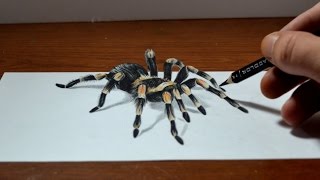 Amazing Anamorphic Tarantula Drawing  Trick Art 3D Realism [upl. by Romie]