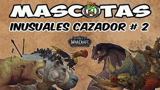 💥 MASCOTAS INUSUALES 💥 Cazador 2 💥 World of Warcraft [upl. by Esnohpla]