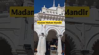 🚩 💓 Madan Mohan Mandir 🎪🚩 shortvideo whatsappstatus viralvideo youtubeshorts viralshorts [upl. by Anerda]