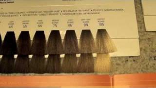 COSMETOLOGY HAIRCOLORING 3 COLOR LEVELS AND TONES [upl. by Aoht176]