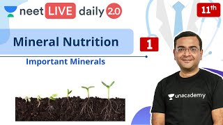 NEET Mineral Nutrition  L1  LIVE Daily 20  Unacademy NEET  Pradeep Singh [upl. by Ecirtemed]