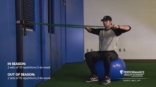 High Row into External Rotation Exercise Only [upl. by Mosenthal]