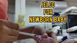 Iv Cannula procedure For Newborn  How To Insert Iv Canula  Jelco Procedure viralvideo trending [upl. by Ailene]