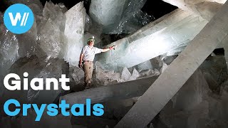 Crystal Palace hidden beneath the Mexican desert  The Mystery of the Giant Crystals [upl. by Sirrad]