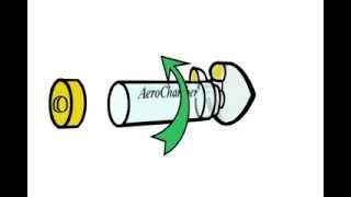 How to Clean your AeroChamber Plus FlowVu Chamber  Trudell Medical International [upl. by Ragse]