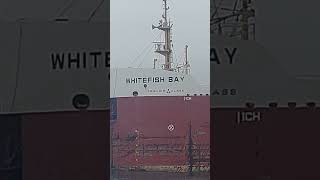 Whitefish Bay is sailing empty on the river in Michigan [upl. by Gerdi]