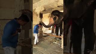 Hampi temple Karnataka must visit place in India [upl. by Dyrrej269]