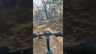 segwayzt3pro segway zt3pro ninebot scooter offroad fall autumn insta360 aiwarp aiart ai [upl. by Nomis]