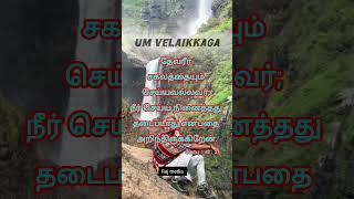 Neer Seiyanenaithathu Thadaipadathu✨ Christian Song🥰 [upl. by Alejna335]