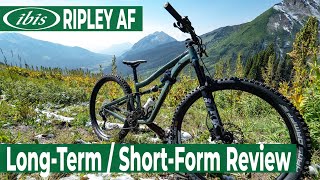 Ibis Ripley AF LongTerm  ShortForm Review  BLISTER [upl. by Eryn151]