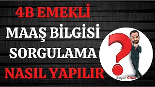 4B EMEKLİ MAAŞ BİLGİSİ SORGULAMA  NASIL YAPILIR  E DEVLET [upl. by Aneliram]