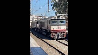 SCTs 2MB9 through Gosford trains trainspotting [upl. by Yaja535]