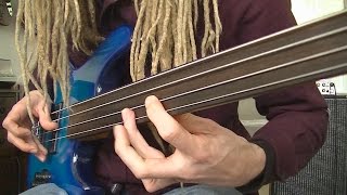 Fretless Funk Rock Bass Grooves [upl. by Enialedam]