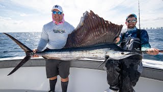 Hungry Sailfish Kingfish and Sharks  Awesome Fishing [upl. by Raynard]