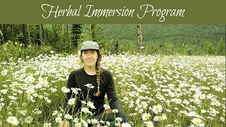 Herbal Immersion Program [upl. by Haronid]