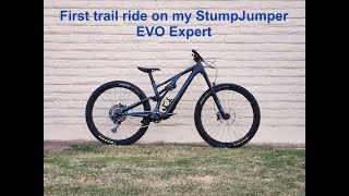 First trail ride on my StumpJumper EVO Expert out at Hawes [upl. by Eolanda886]