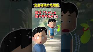 【2ch面白スレ】食虫植物の危険性 shorts [upl. by Fawcett77]