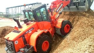 Wheel Loader DOOSAN DL 200 [upl. by Alyak]