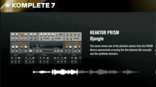 Reaktor Prism from Komplete 7 presented by RyanSloannet [upl. by Pardner]