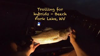 Trolling after dark  kayak fishing in August kayakbassfishing kayakfishing trollingfishing [upl. by Araed187]