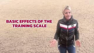 Discover How To Use The Dressage Training Scale amp Rhythm In Your Training Routine [upl. by Ibib783]