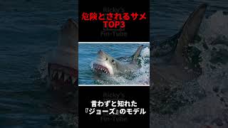 最も危険な人喰いザメTOP3【shorts】 [upl. by Rianna858]