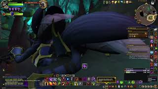 Gaspardgerard in world of warcraft War Within retail  episode 37 [upl. by Akihsan]