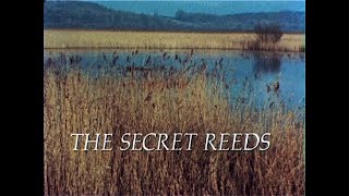 The Secret Reeds [upl. by Twitt]