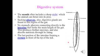 lecture 6 Medical Helminthology Phylum Nematoda [upl. by Yur]