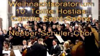 Weihnachtsoratorium 10 Tollite Saint Saens [upl. by Link115]