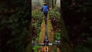 Stressful Mountain Bike Trail [upl. by Pierrepont]