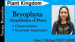 Plant Kingdom  Bryophyta  Characteristics and Economic Importances  Class 11 BiologyNEETAIIMS [upl. by Ramedlab]