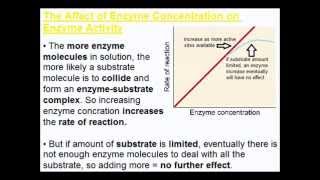 Factors Affecting Enzyme Activity Part 1  A Level AS Biology Revision [upl. by Nicki]